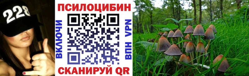 как найти наркотики  Череповец  Галлюциногенные грибы GOLDEN TEACHER 