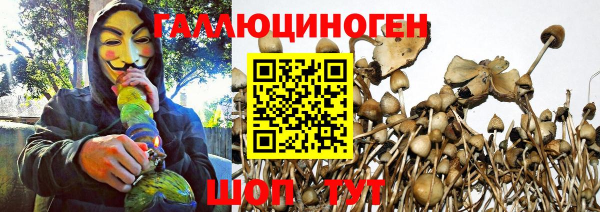 Псилоцибиновые грибы Cubensis  Псилоцибиновые грибы ЛСД  цены наркотик  Вход с VPN  Череповец 