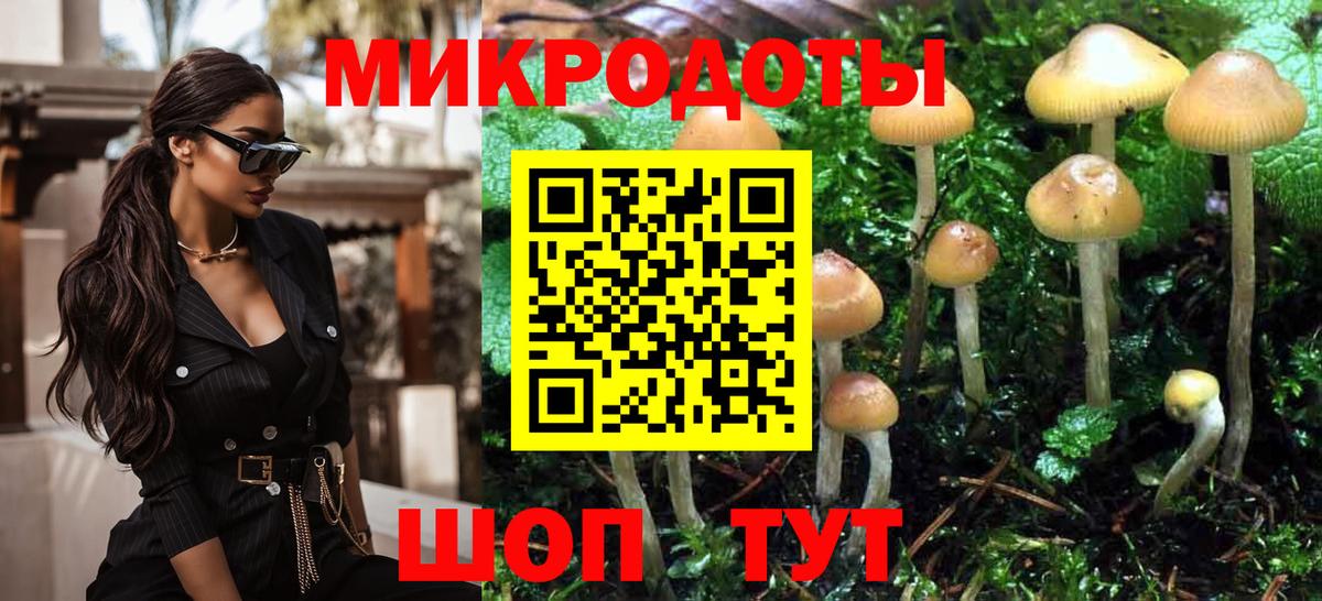 Псилоцибиновые грибы GOLDEN TEACHER Череповец