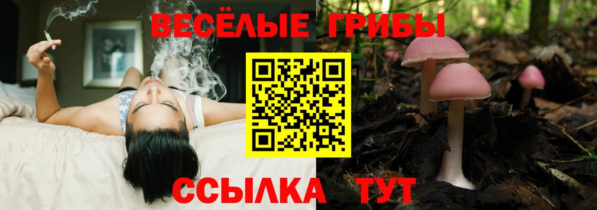 Псилоцибиновые грибы Magic Shrooms  Череповец 