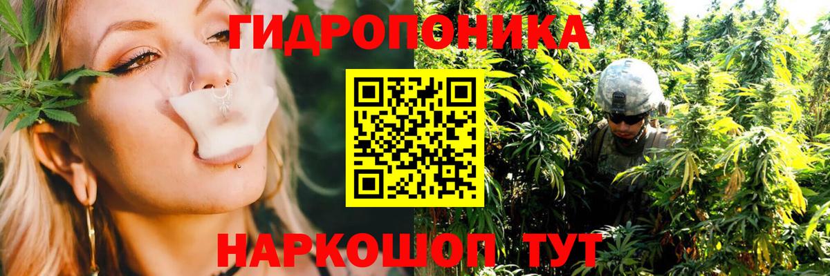 Марихуана OG Kush Череповец
